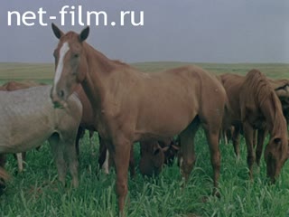 Фильм Быть хозяином на земле.. (1987)