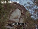 Film Worship of stones. (1991)