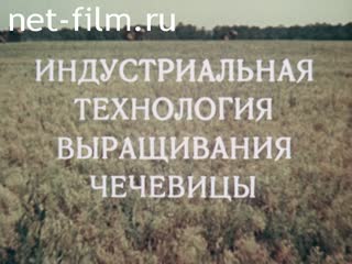 Фильм Индустриальная технология возделывания чечевицы. (1984)