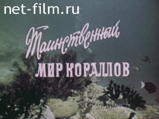 Фильм Таинственный мир кораллов. (1988)