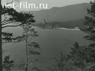 Newsreel Daily News / A Chronicle of the day 1977 № 33