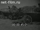 Сюжеты В дунганском колхозе. (1930)
