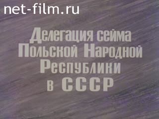 Film The Delegation of the Sejm of the People's Republic of Poland in the USSR. (1982)