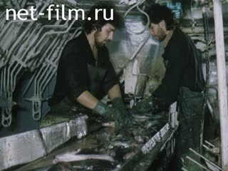 Newsreel Fishermen on the workload 1990 № 15