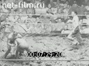 Киножурнал Фокс Тененде Вохеншау 1938 № 2