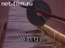 Фильм Рапана или что случилось в Чёрном море. (1977)