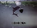 Фильм Наша живая планета.. (1983)