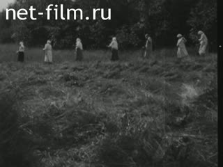 Footage Women's agricultural commune Krupskaya. (1930)