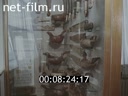Newsreel Around the USSR 1980 № 167 Museum of Ethnography: Past and Present