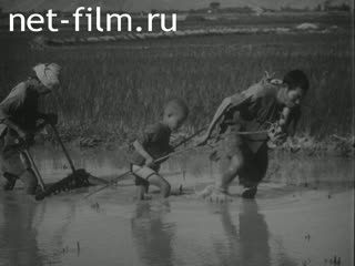 Film Vietnam. (1955)
