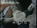 Киножурнал Хозяин 2001 № 2 Хозяйка Кремлёвских стен.