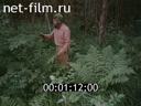 Film Ferns color. (1995)