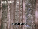 Film Stories about Siberia. Taiga. (1981)