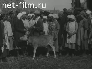 Сюжеты Праздник распределения урожая в колхозе. (1932)