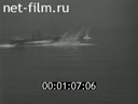 Footage Soviet Navy. (1961)