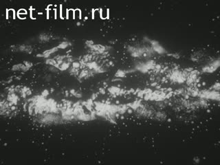 Film Structure of the universe.. (1985)
