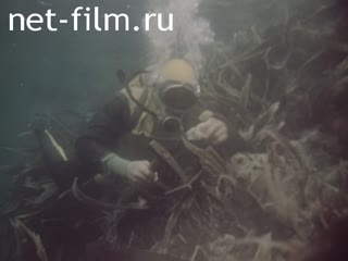 Фильм По следам руды. (1975)
