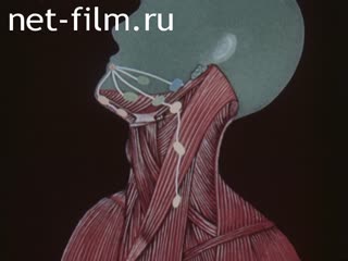 Фильм Лечение опухолей головы и шеи.. (1988)
