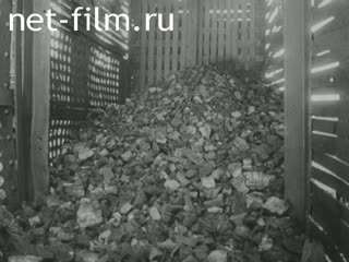 Фильм Техника безопасности при производстве древесного угля. (1976)
