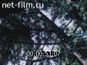 Film Tree-planting machine LMD-81.. (1989)