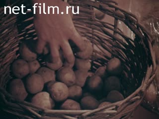 Film Potatoes on 3 acres.. (1991)