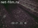 Фильм Уральская картошка. (1984)
