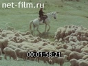 Фильм Лечебно-санитарный пункт. (1989)