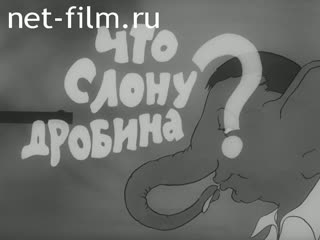 Фильм Что слону дробина?. (1988)
