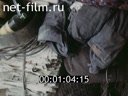 Фильм Беда караулит беспечного. (1987)