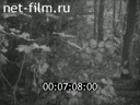 Фильм Станиславский. Страницы великой жизни. (1963)
