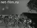 Film Urals - the land of gold. (1968)