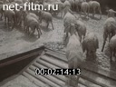 Film Subsistence farming factory "Aktyubinskselmash.". (1983)