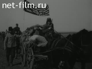 Footage Grain procurements in the Voronezh district. (1929)