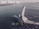 Фильм Лицом к морю. (1965)