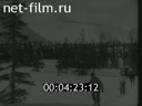 Фильм Лыжный спорт. (1940)