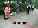 Footage Figures from the sand on the Trinity, p.Wolf, Lipetsk region.. (2012 - 2013)