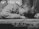 Footage Effects of starvation and destruction in Soviet Russia. (1922)
