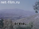 Footage Autumn Crimea. (1980 - 1989)