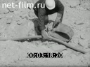 Фильм Электробезопасность при отвальных работах. (1976)