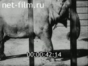 Footage Soviet family and school. (1927 - 1928)