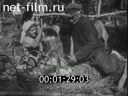 Footage Horticulture and viticulture Crimea. (1934 - 1935)