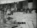 Footage Transporting grain. (1931)