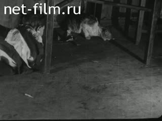 Footage Everyday life and the life of Muscovites. (1923 - 1924)