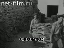 Новости Зарубежные киносюжеты 1961 № 629