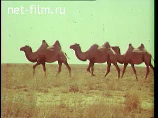 Footage Kazakhstan. (1990)