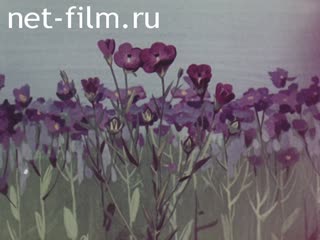 Film Flax. (1967)