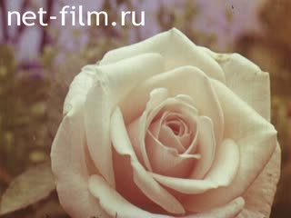 Фильм Ферменты - наши друзья. (1971)