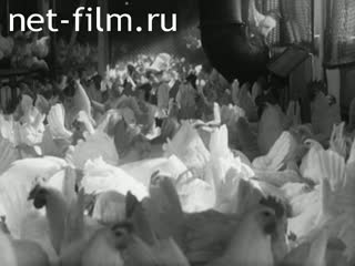 Фильм Первые итоги. (1972)