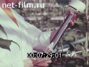 Фильм Право вести за собой. (1980)