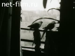 Film The Soviet Ciurcus.. (1990)